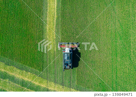Top down view shows a large combine harvester cuts rows of green crops in a sprawling farm field under a bright blue sky 139849471