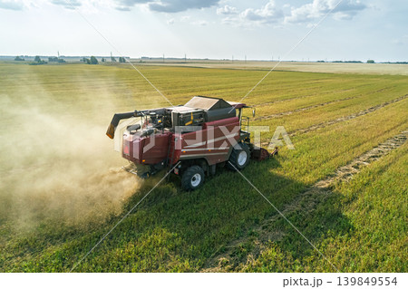 A powerful combine harvester cuts and processes crops in a wide green field, creating a large dust cloud. A powerful combine harvester cuts and processes crops in a wide green field, creating a large dust cloud. 139849554