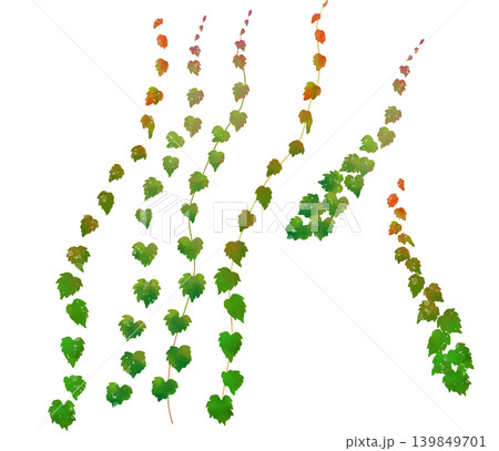 紅葉し始めた蔦の水彩画手描き風イラスト素材 139849701