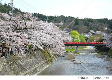 満開の桜と中橋 岐阜 満開の桜と中橋 岐阜 139849836