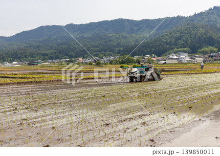 田植え機での田植え風景 品種:コシヒカリ 田植え機での田植え風景 品種:コシヒカリ 139850011