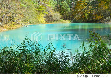 秋の青沼　福島 139850208