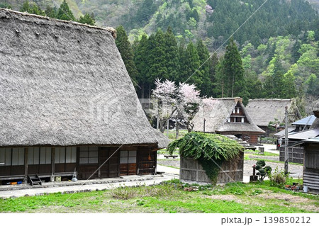 五箇山の合掌造り集落 富山 五箇山の合掌造り集落 富山 139850212
