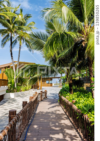 Phu Quoc Island, Vietnam - January 3 2026: Tropical garden walkway with palm trees on Phu Quoc Island Phu Quoc Island, Vietnam - January 3 2026: Tropical garden walkway with palm trees on Phu Quoc Island 139850265