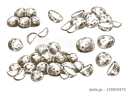 Potato tubers and slices drawn in ink style. Hand drawn vegetable sketch for menu design, farm market poster, grocery packaging or culinary recipe book. Vintage monochrome graphic art. Potato tubers and slices drawn in ink style. Hand drawn vegetable sketch for menu design, farm market poster, grocery packaging or culinary recipe book. Vintage monochrome graphic art. 139850473