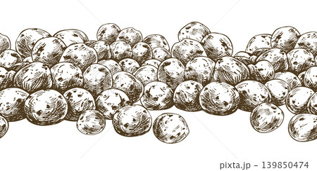 Potato hand drawn illustration in ink style. Seamless border design with raw vegetables for food packaging and organic farm market advertisement. Black and white graphic print for cooking. 139850474