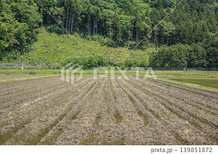 奥琵琶湖の長閑な田園風景　滋賀県高島市マキノ町 139851872