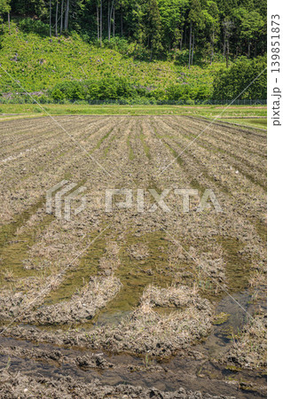 奥琵琶湖の長閑な田園風景 滋賀県高島市マキノ町 奥琵琶湖の長閑な田園風景 滋賀県高島市マキノ町 139851873