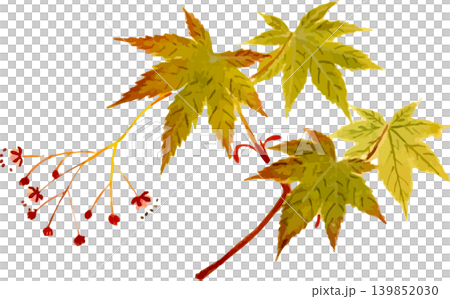 仍呈現藍綠色的楓葉的剪紙素描素材 139852030