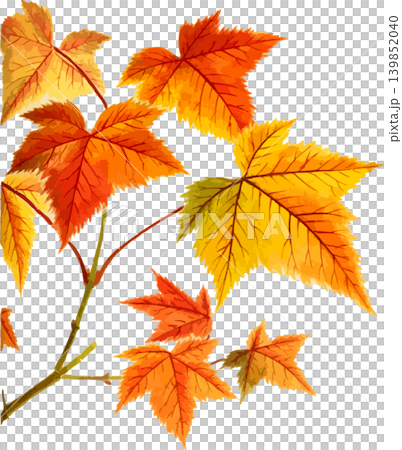 岩根カエデの紅葉切り抜き写生画素材 岩根カエデの紅葉切り抜き写生画素材 139852040