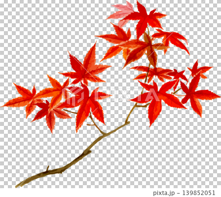 真っ赤な紅葉の枝の切り抜き写生画素材 真っ赤な紅葉の枝の切り抜き写生画素材 139852051