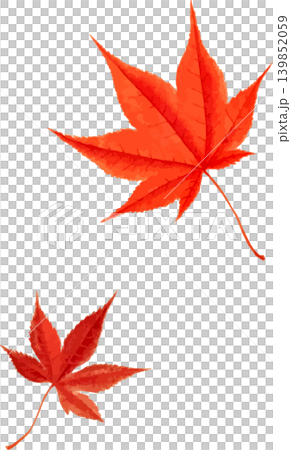 兩片鮮紅色的楓葉剪紙,可用於素描。 兩片鮮紅色的楓葉剪紙,可用於素描。 139852059