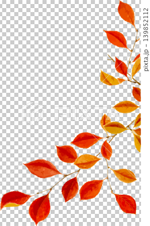 Sketch material of the autumn leaves of Euonymus alatus Sketch material of the autumn leaves of Euonymus alatus 139852112