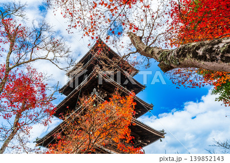 備中国分寺の晩秋　紅葉に包まれる五重塔2　岡山県総社市 139852143