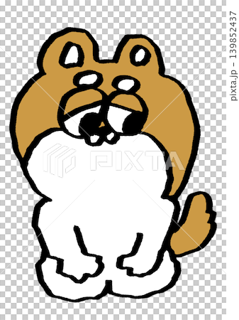 一隻柴犬呈正式的跪姿坐著。 一隻柴犬呈正式的跪姿坐著。 139852437