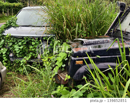 Abandoned jeep lost amidst lush foliage and decay Abandoned jeep lost amidst lush foliage and decay 139852851