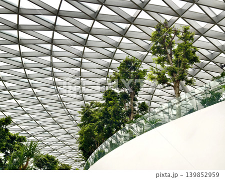 Contemporary glass enclosed indoor garden filled with abundant verdant foliage and sunlight Contemporary glass enclosed indoor garden filled with abundant verdant foliage and sunlight 139852959