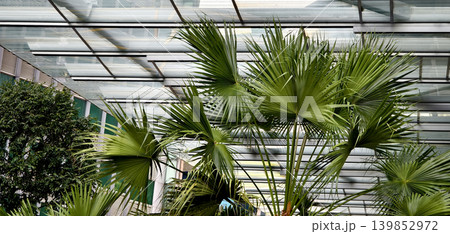 Innovative business exterior emphasizing environmentally friendly resources and abundant greenery Innovative business exterior emphasizing environmentally friendly resources and abundant greenery 139852972