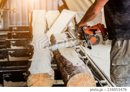 Woodcutter cutting tree with chainsaw on sawmill. Modern sawmill. 139853476