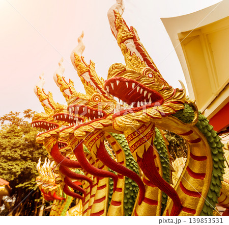 Symbols of Buddhism. South-Eastern Asia. Details of buddhist temple in Thailand. Symbols of Buddhism. South-Eastern Asia. Details of buddhist temple in Thailand. 139853531