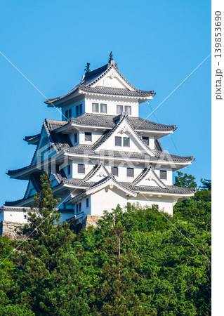 郡上八幡城 郡上八幡城 139853690