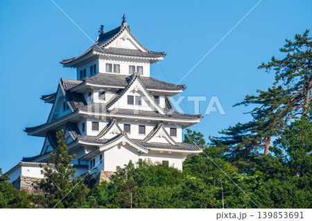 郡上八幡城 139853691