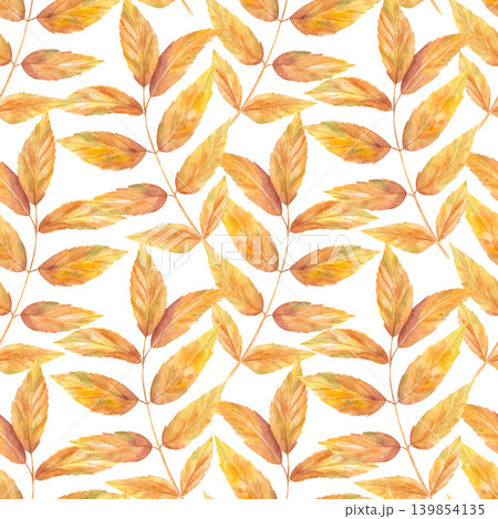 Watercolor autumn yellow orange leaves seamless pattern on isolated background. Fall Ash foliage repeated illustration for print, textile design, stationery wrapping paper and season decor Watercolor autumn yellow orange leaves seamless pattern on isolated background. Fall Ash foliage repeated illustration for print, textile design, stationery wrapping paper and season decor 139854135