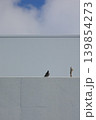 鳩 139854273