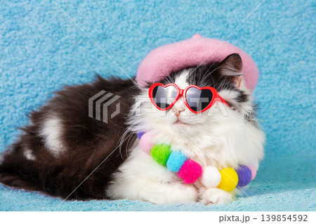 Portrait of a beautiful, funny black and white cat wearing a pink beret hat and necklace on a blue background. The cat with a rainbow plush collar and pink hat. The cat is wearing red heart-shaped Portrait of a beautiful, funny black and white cat wearing a pink beret hat and necklace on a blue background. The cat with a rainbow plush collar and pink hat. The cat is wearing red heart-shaped 139854592