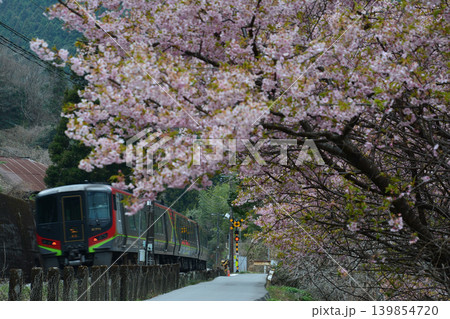 穴内駅桜と特急「南風」2(高知県長岡郡大豊町穴内) 穴内駅桜と特急「南風」2(高知県長岡郡大豊町穴内) 139854720
