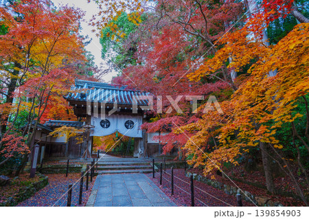紅葉に包まれたもみじ参道 紅葉に包まれたもみじ参道 139854903