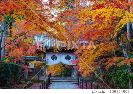 紅葉に包まれたもみじ参道 139854905