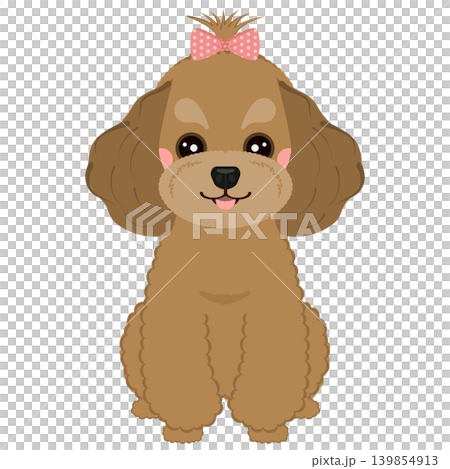 Sitting and smiling toy poodle Sitting and smiling toy poodle 139854913
