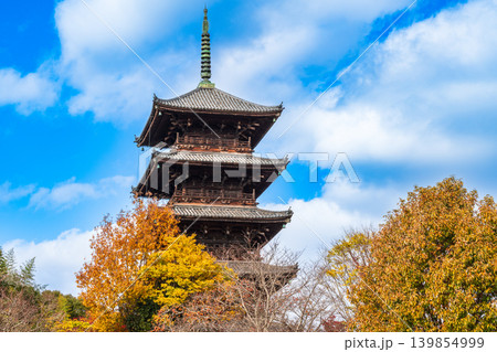 備中国分寺の晩秋　紅葉越しの五重塔3　岡山県総社市 139854999