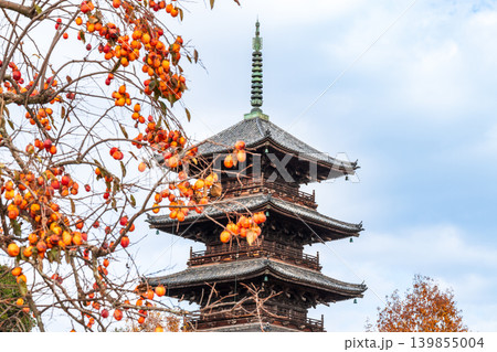 備中国分寺の晩秋 柿の実と五重塔7 岡山県総社市 備中国分寺の晩秋 柿の実と五重塔7 岡山県総社市 139855004