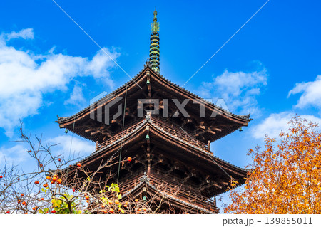 備中国分寺の晩秋 青空と紅葉と五重塔4 岡山県総社市 備中国分寺の晩秋 青空と紅葉と五重塔4 岡山県総社市 139855011