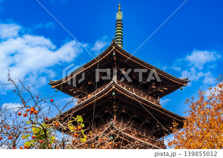 備中国分寺の晩秋 青空と紅葉と五重塔3 岡山県総社市 備中国分寺の晩秋 青空と紅葉と五重塔3 岡山県総社市 139855012