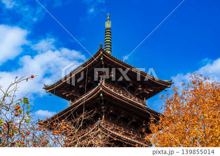 備中国分寺の晩秋 青空と紅葉と五重塔1 岡山県総社市 備中国分寺の晩秋 青空と紅葉と五重塔1 岡山県総社市 139855014