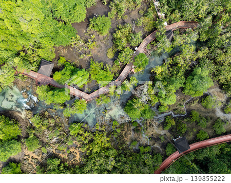 Amazing abundant mangrove forest in southern thailand,High angle view drone shot Amazing abundant mangrove forest in southern thailand,High angle view drone shot 139855222