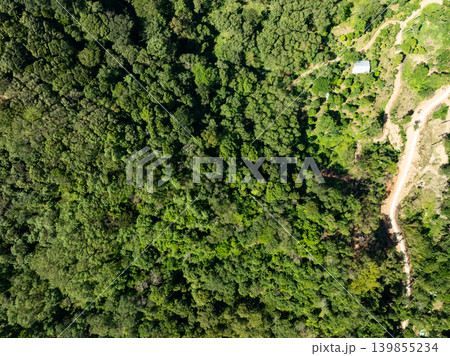 Aerial view green forest nature background Aerial view green forest nature background 139855234