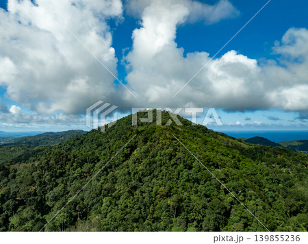 Aerial view green forest nature background Aerial view green forest nature background 139855236