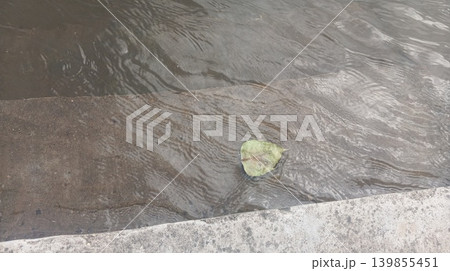 green moss on stone green moss on stone 139855451