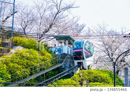 東京飛鳥山公園・あすかパークレール 東京飛鳥山公園・あすかパークレール 139855468