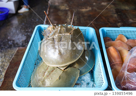 タイの市場で売られているカブトガニ 139855496