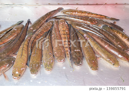 タイの市場で売られている魚 タイの市場で売られている魚 139855791