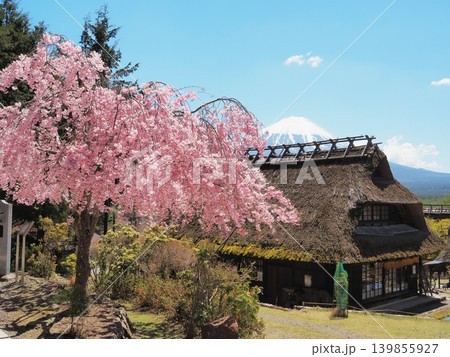 山梨県 枝垂れ桜咲くいやしの里根場 4月 山梨県 枝垂れ桜咲くいやしの里根場 4月 139855927