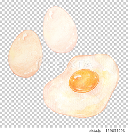 Watercolor illustration of an egg Watercolor illustration of an egg 139855998