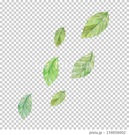 Watercolor-painted leaf material Watercolor-painted leaf material 139856002