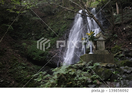 滝の前に佇む石祠と供え花が静けさを伝える森の祈りの風景 139856092