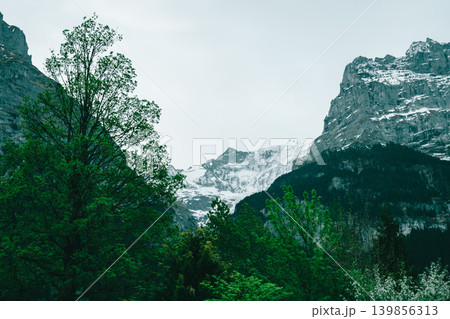 グリンデルワルドの美しい山の風景 グリンデルワルドの美しい山の風景 139856313
